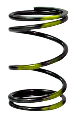 Improved "Yellow Stripe" Valve Spring (10.8lb)