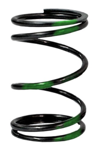 Improved "Green Stripe" Valve Spring (10.8lb)