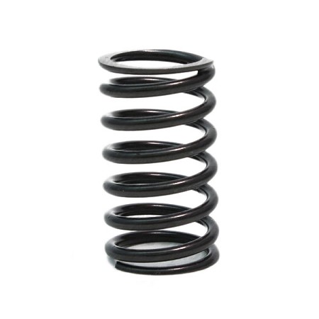 18lb Valve Spring