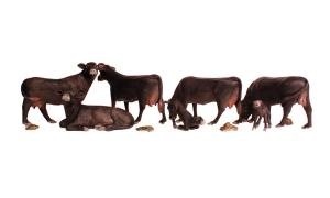 HO Black Angus Cows 