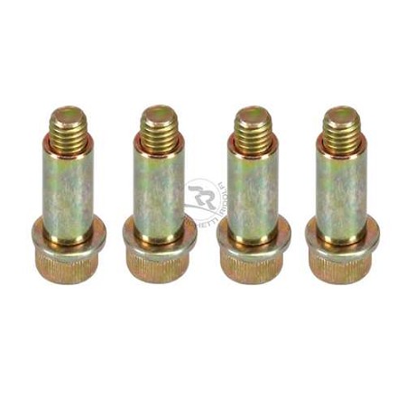 Screws Kit For Front Brake Pad