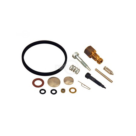 Carburetor Overhaul Kit 