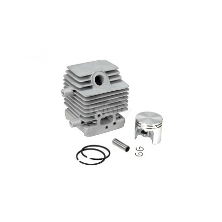 Cylinder & Piston Assembly 