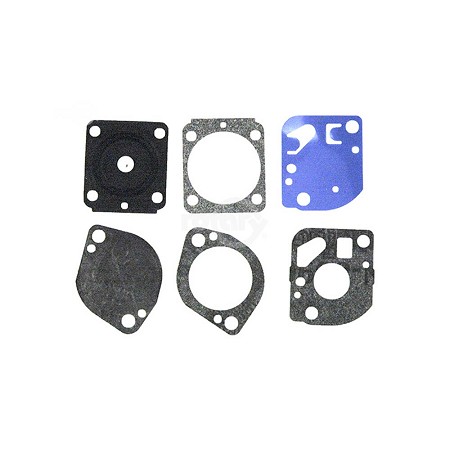 Gasket & Diaphragm Kit 