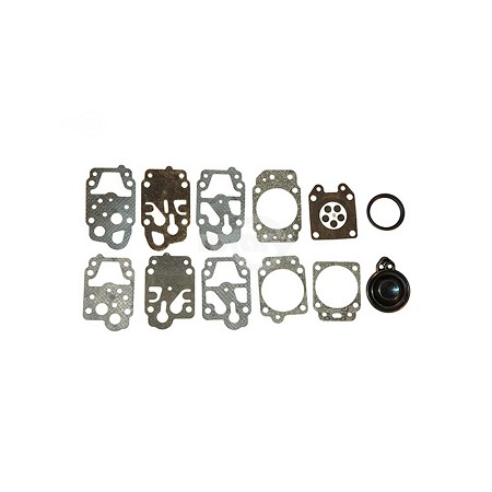 Gasket & Diaphragm Kit 