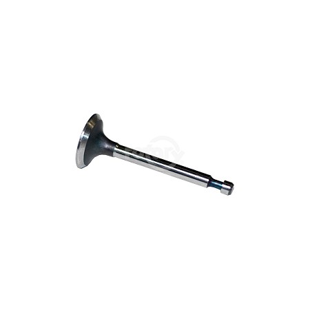 Valve Intake Briggs and Stratton 