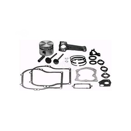 Kit Overhaul 5Hp (Std) Briggs and Stratton 