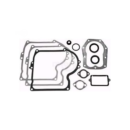 Gasket Set Briggs and Stratton 