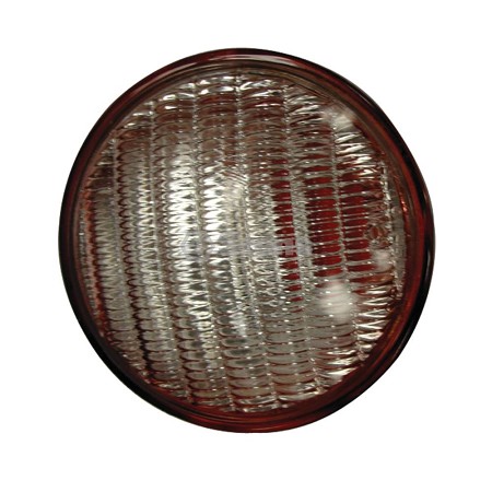 Light Bulb